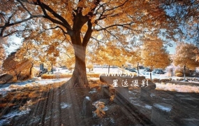 S060.PS2019光束大师滤镜插件 一键丁达尔效应 光线光束插件 耶稣光滤镜 人像风景光束 WINMAC 丁达尔效应 光线光束插件 耶稣光滤镜