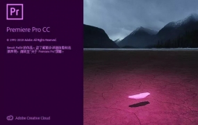Y045.全新升级!PR CC 2019入门到精通教程含软件素材